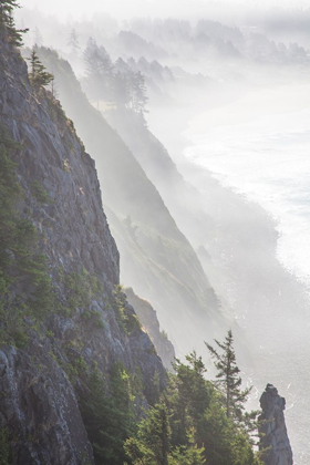 Picture of OREGON-OSWALD WEST STATE PARK AND CLIFF BLUFFS LOOKING TOWARDS MANZANITA WITH LIFTING FOG