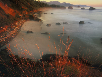 Picture of CANNON BEACH ON THE PACIFIC COAST OF OREGON