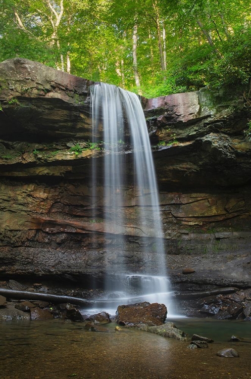 Picture of CUCUMBER FALLS-OHIOPYLE STATE PARK-PENNSYLVANIA