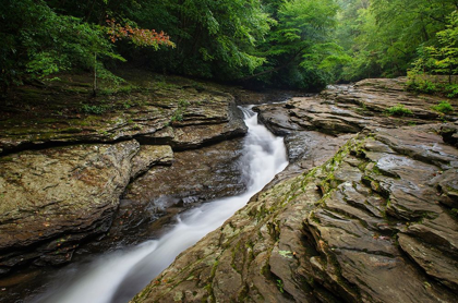 Picture of NATURAL WATERSLIDES ON MEADOW RUN OHIOPYLE STATE PARK-PENNSYLVANIA