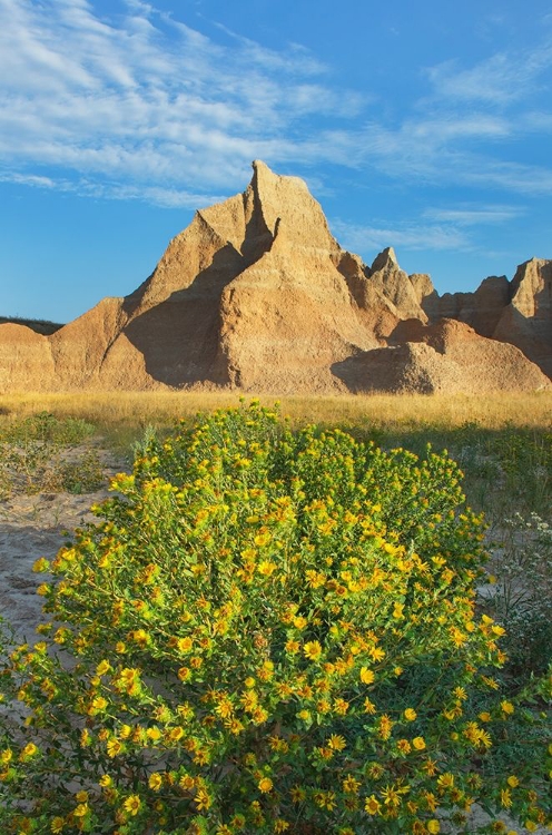 Picture of BADLANDS NATIONAL PARK-SOUTH DAKOTA