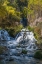 Picture of VERTICAL SCENIC OF ROUGHLOCK FALLS AND AUTUMN FOLIAGE-SPEARFISH CANYON-SOUTH DAKOTA-BLACK HILLS