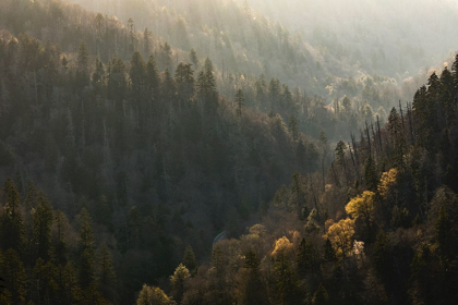 Picture of SPRING SUNSET FROM MORTON OVERLOOK-GREAT SMOKY MOUNTAINS NATIONAL PARK-TENNESSEE