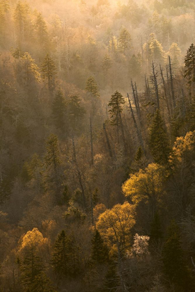 Picture of SPRING SUNSET FROM MORTON OVERLOOK-GREAT SMOKY MOUNTAINS NATIONAL PARK-TENNESSEE