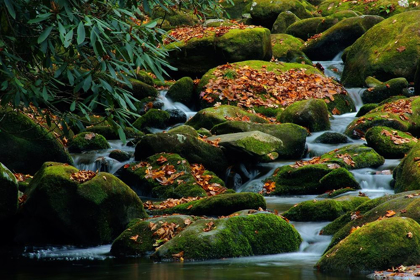 Picture of WATER FALLING OVER BOULDERS ON ROARING FORK MOTOR NATURE TRAIL