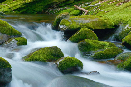 Picture of WATER FALLING OVER BOULDERS ON ROARING FORK MOTOR NATURE TRAIL