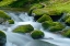 Picture of WATER FALLING OVER BOULDERS ON ROARING FORK MOTOR NATURE TRAIL