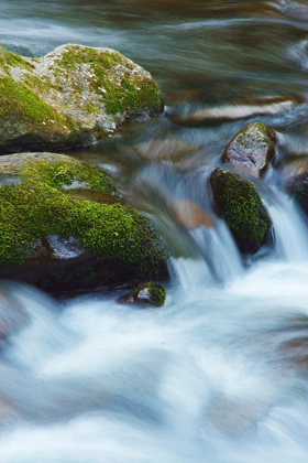 Picture of WATER FALLING OVER BOULDERS ON ROARING FORK MOTOR NATURE TRAIL