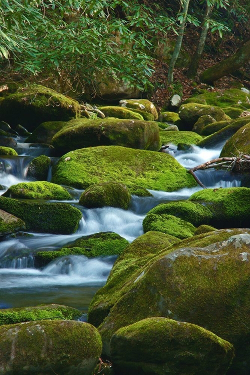 Picture of WATER FALLING OVER BOULDERS ON ROARING FORK MOTOR NATURE TRAIL