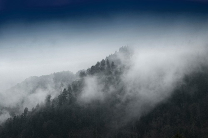 Picture of MOUNTAIN CLOUDS AT NEWFOUND GAP-SMOKY MOUNTAINS NATIONAL PARK-TENNESSEE-USA
