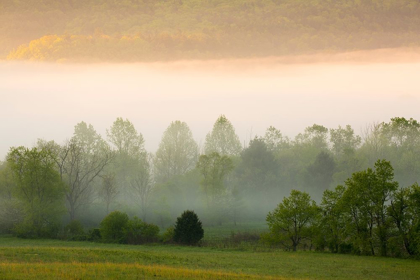 Picture of TENNESSEE EARLY MORNING FOG IN CADES COVE
