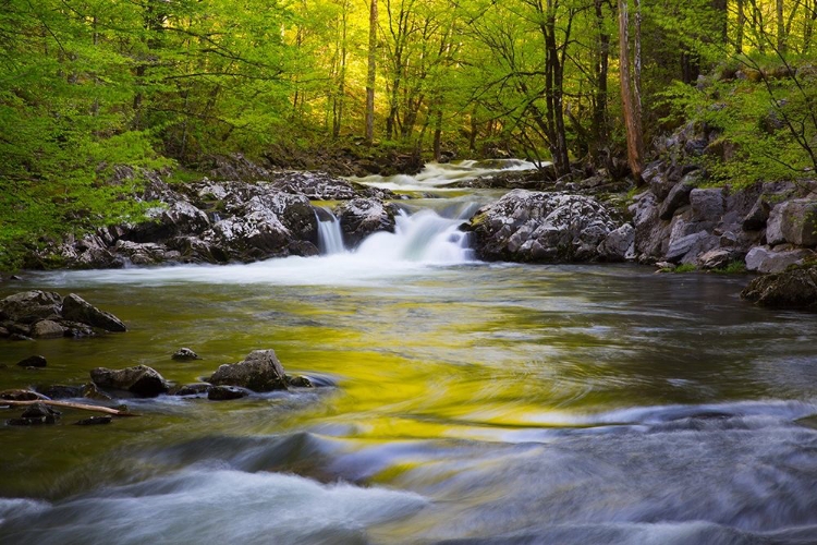 Picture of TENNESSEE-EVENING REFLECTIONS IN THE LITTLE RIVER AT TREMONT