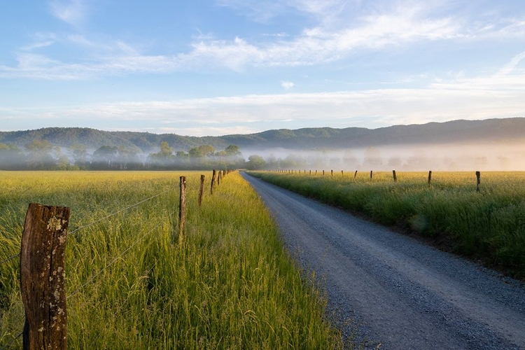 Picture of HYATT LANE IN FOG CADES COVE GREAT SMOKY MOUNTAINS NATIONAL PARK-TENNESSEE