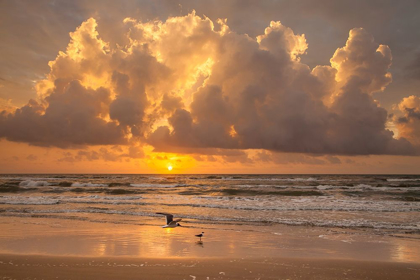 Picture of SUNRISE ON GULF OF MEXICO AT SOUTH PADRE ISLAND