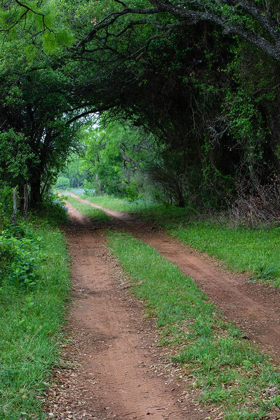 Picture of FARM ROAD AND PATHWAY