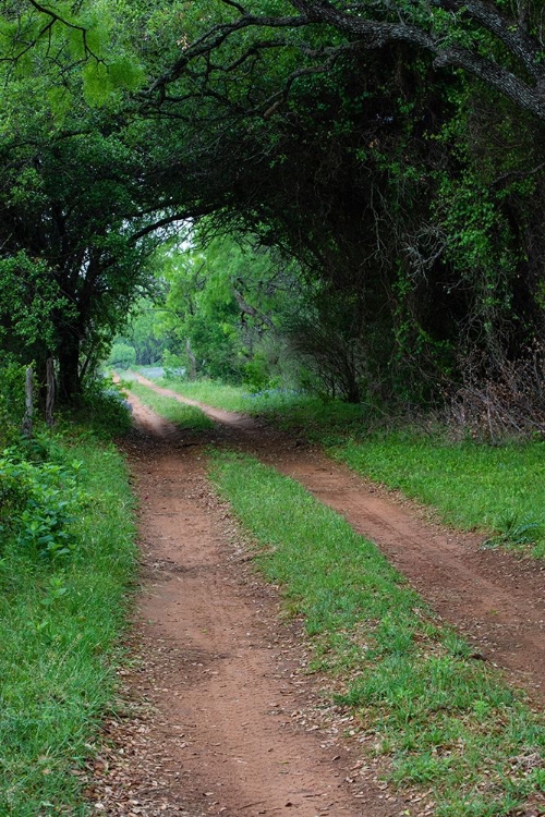 Picture of FARM ROAD AND PATHWAY