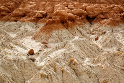 Picture of UTAH-GRAND STAIRCASE-ESCALANTE NATIONAL MONUMENT-TOADSTOOLS AREA