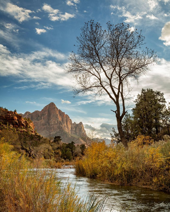Picture of UTAH-ZION NATIONAL PARK-VIRGIN RIVER AND THE WATCHMAN NEAR SUNSET