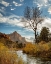 Picture of UTAH-ZION NATIONAL PARK-VIRGIN RIVER AND THE WATCHMAN NEAR SUNSET