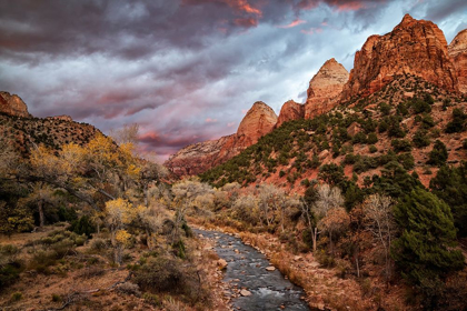 Picture of UTAH-ZION NATIONAL PARK-A FIERY SUNSET LIGHTS UP ZIONS VIRGIN RIVER AND COTTONWOOD TREES