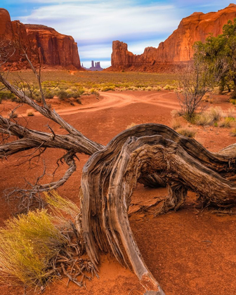 Picture of UTAH-MONUMENT VALLEY LANDSCAPE AND DEAD TREE 