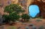 Picture of UTAH-MONUMENT VALLEY LANDSCAPE WITH SANDSTONE FORMATIONS AND TREES 