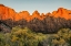 Picture of ZION NATIONAL PARK-TEMPLES AND TOWERS-SUNRISE