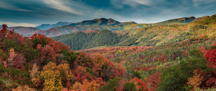 Picture of MULTICOLORED FALL PANORAMIC LANDSCAPE-WASATCH MOUNTAINS-NEAR PARK CITY AND MIDWAY-UTAH-USA