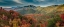 Picture of MULTICOLORED FALL PANORAMIC LANDSCAPE-WASATCH MOUNTAINS-NEAR PARK CITY AND MIDWAY-UTAH-USA