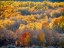 Picture of UTAH-LOGAN PASS AUTUMN COLORS IN LOGAN PASS UTAH