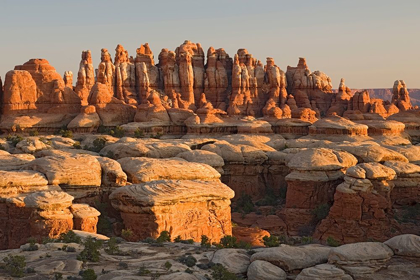 Picture of UT-CANYONLANDS NATIONAL PARK-THE NEEDLE ROCK SPIRES AND GRABENS AT CHESTER PARK