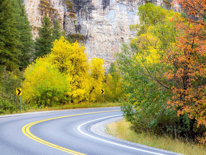Picture of UTAH-LOGAN PASS AND HIGHWAY 89 FALL COLOR WITH ASPEN AND MAPLE TREES