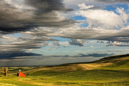 Picture of RED BARN IN VALLEY OF ROLLING FARM FIELDS-PALOUSE AGRICULTURAL REGION OF WESTERN IDAHO