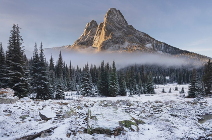 Picture of FRESH AUTUMN SNOW ON LIBERTY BELL MOUNTAIN AND MEADOWS OF WASHINGTON STATE PASS