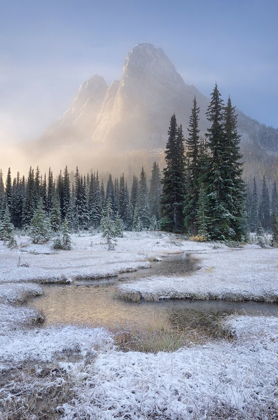 Picture of FRESH AUTUMN SNOW ON LIBERTY BELL MOUNTAIN AND MEADOWS OF WASHINGTON STATE PASS