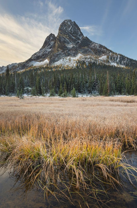 Picture of LIBERTY BELL MOUNTAIN AND MEADOWS OF WASHINGTON STATE PASS NORTH CASCADES-WASHINGTON STATE