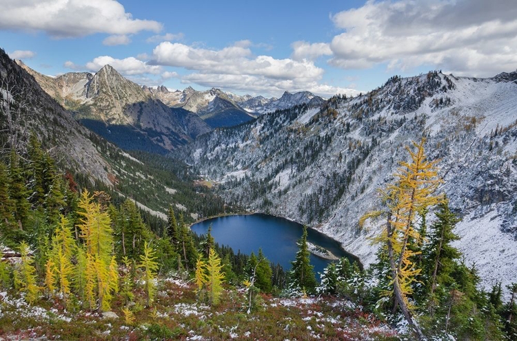 Picture of LAKE ANN AND GOLDEN LARCHES AFTER AUTUMN SNOWFALL NORTH CASCADES-WASHINGTON STATE