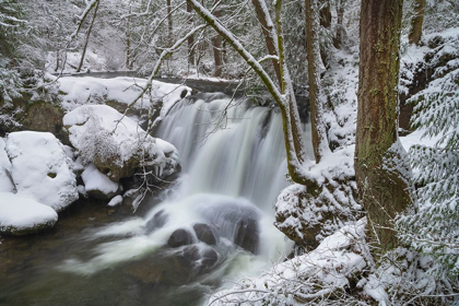 Picture of WHATCOM FALLS AFTER FRESH DUSTING OF WINTER SNOW WHATCOM FALLS CITY PARK-BELLINGHAM