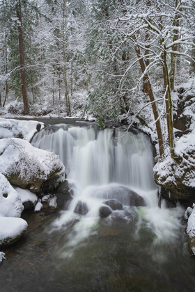 Picture of WHATCOM FALLS AFTER FRESH DUSTING OF WINTER SNOW WHATCOM FALLS CITY PARK-BELLINGHAM