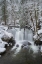 Picture of WHATCOM FALLS AFTER FRESH DUSTING OF WINTER SNOW WHATCOM FALLS CITY PARK-BELLINGHAM