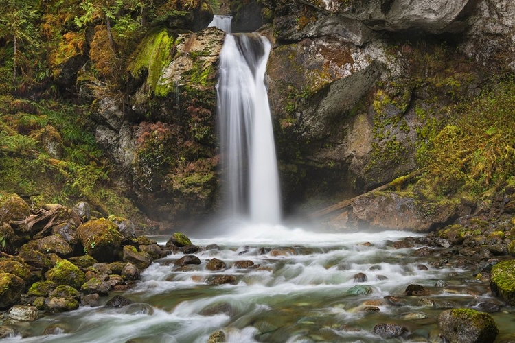 Picture of LAZY BEAR FALLS-MOUNT BAKER-SNOQUALMIE NATIONAL FOREST-NORTH CASCADES-WASHINGTON STATE