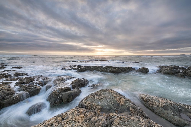 Picture of KALALOCH BEACH 4 AT SUNSET-OLYMPIC NATIONAL PARK-WASHINGTON STATE