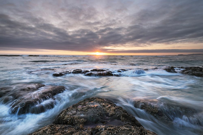 Picture of KALALOCH BEACH 4 AT SUNSET-OLYMPIC NATIONAL PARK-WASHINGTON STATE