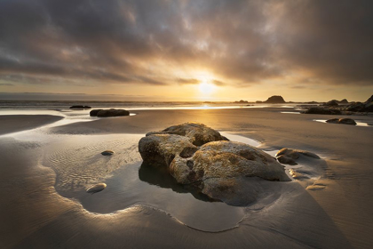 Picture of KALALOCH BEACH SUNSET-OLYMPIC NATIONAL PARK-WASHINGTON STATE