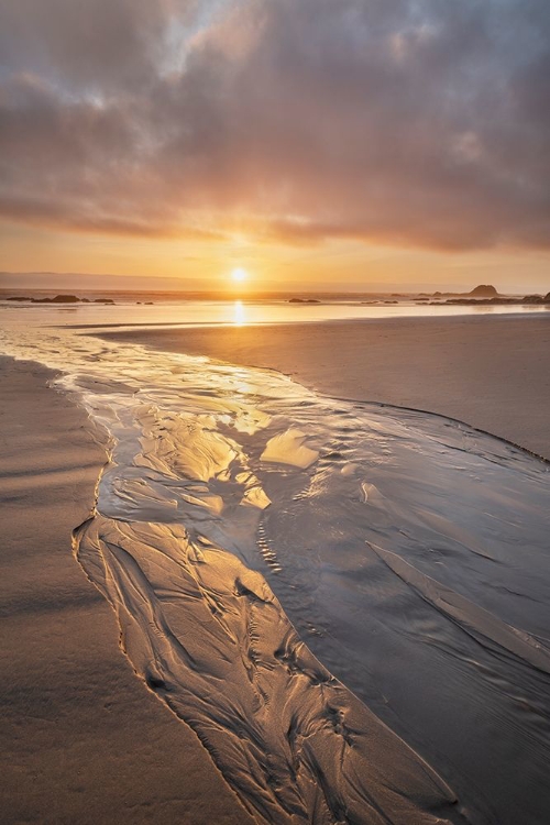 Picture of STREAM FLOWING INTO THE PACIFIC OCEAN AT SUNSET-KALALOCH BEACH OLYMPIC NATIONAL PARK