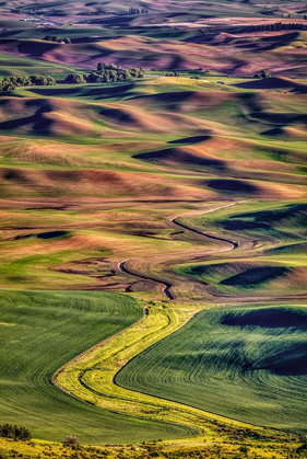 Picture of WASHINGTON STATE-PALOUSE STEPTOE BUTTE AT SUNSET 