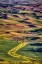 Picture of WASHINGTON STATE-PALOUSE STEPTOE BUTTE AT SUNSET 