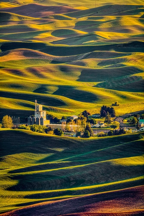 Picture of WASHINGTON STATE-PALOUSE STEPTOE VILLAGE AND FARMLAND AT SUNSET 