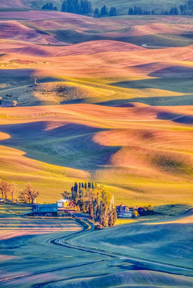 Picture of WASHINGTON STATE-PALOUSE STEPTOE VILLAGE AND FARMLAND AT SUNSET 