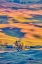Picture of WASHINGTON STATE-PALOUSE STEPTOE VILLAGE AND FARMLAND AT SUNSET 
